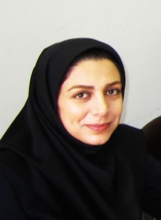 Somayeh Shatizadeh Malekshahi