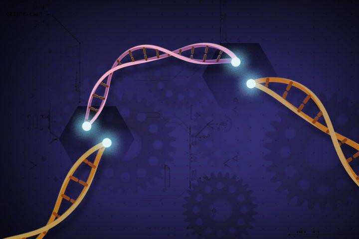 پروتئین های جدید ویرایش کننده ژن خارج از سیستم کریسپر 